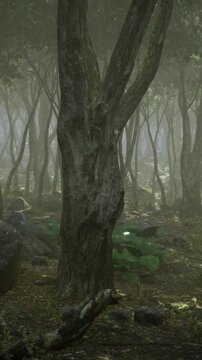 Mystical forest spirit essence, Aged twisted tree concealing old tales, Timehonored guardian of woods holding centuries of silent stories and mysteries