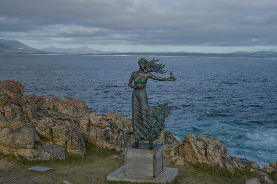 Hermanus is a seaside town famous for whale watching