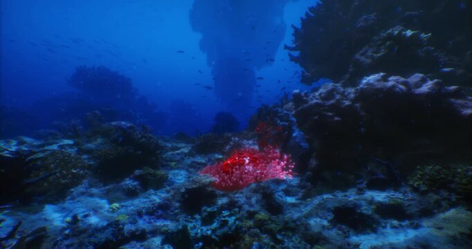 Colorful coral formations thrive under bright sunlight in deep blue waters. Fish swim among the corals, creating a lively underwater ecosystem in this serene ocean environment.