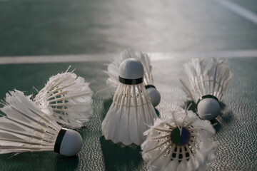 Badminton balls and badminton rackets on court