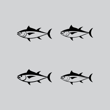 four black and white fish swimming in different directions