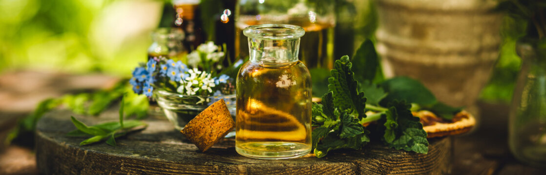 Banner. Alternative green herbal medicine. Natural plant-based ingredients for skin care beauty products, perfumery production. Small business, laboratory, drug research, organic extracts in glassware