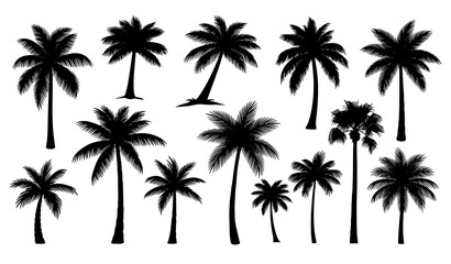 Obraz premium Exotic palm tree silhouette vector set for tropical landscapes travel art and beach illustrations