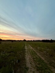 Sunset in Midwest Nature