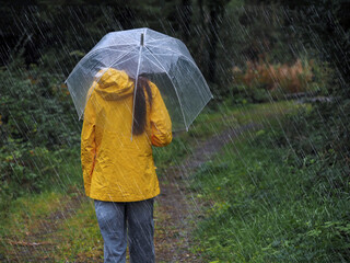 A woman is walking in the rain with an umbrella in a forest park. She is wearing a yellow jacket. Scene is gloomy and rainy. Enjoy fresh air and nature scenery at any weather theme.
