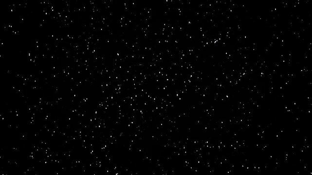 Monochrome macro footage of white organic dust, small particles, and round bokeh bubbles moving in dark space. High contrast abstract background with slow chaotic motion of micro debris.