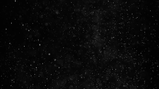 Monochrome macro footage of white organic dust, small particles, and round bokeh bubbles moving in dark space. High contrast abstract background with slow chaotic motion of micro debris.
