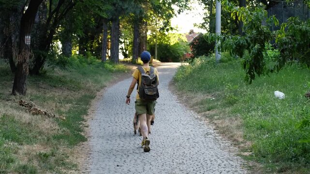 Woman walking along a paved park path with a German Shepherd dog while holding a smartphone. Rear view. Urban nature walk, everyday outdoor activity and pet companionship