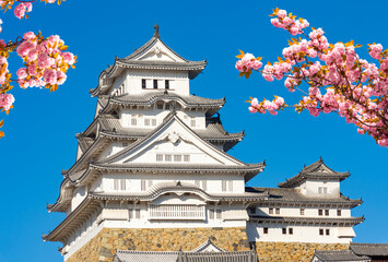 Naklejka premium Himeji (White Heron) castle and blooming sakura in spring, Japan