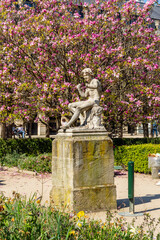 Blooming magnolia in Palais Royal garden in spring, Paris, France © Mistervlad