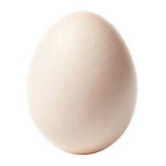 Large Ostrich Egg on White Background with Deep Shadow
