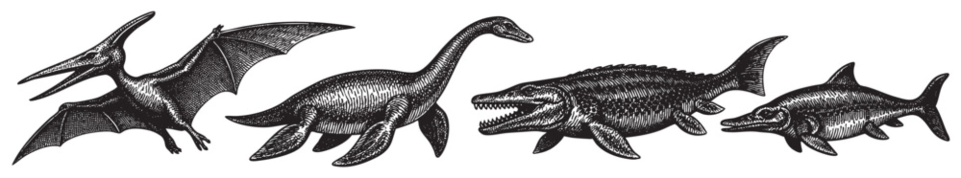 Black and white illustration showcasing extinct prehistoric sea creatures and reptiles, a Pterodactyl, Plesiosaur, and Mosasaur with detailed hatching on a white background.
