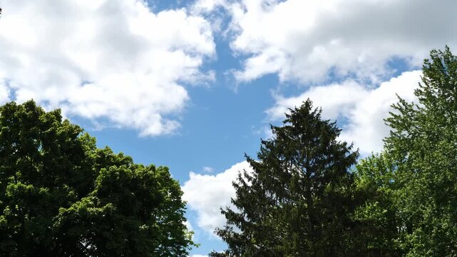 Sky 0302 Clouds blue white peaceful nature