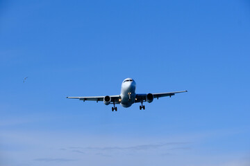 Fototapeta premium White aircraft on final approach to the airfield under a bright blue sky.