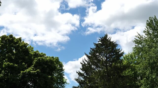 Sky 0303 Clouds blue white peaceful nature