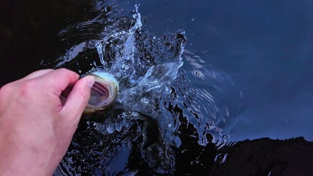 Freshly caught freshwater largemouth bass fish catch and release. Bass fish reviving in the water holding by the lip close up. Active recreation near lake. Summer leisure and hobby.