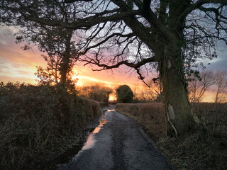 Winter sunset down a country lane