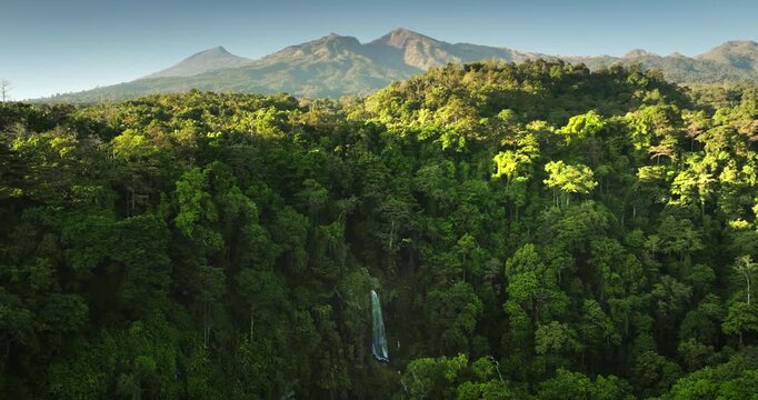 Lush green tropical rainforest covering Lombok Senaru mountains with wild seduled waterfalls cascading down, presenting a vibrant exotic landscape under a clear blue sky. Aerial zoom out panorama