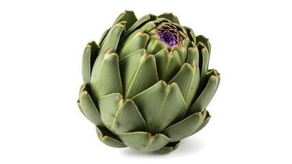 Fototapeta premium Artichoke flower bud with sculptural symmetry and rich texture, photographed for premium botanical design. Isolated on White background.
