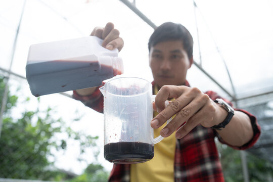 Farmers checking and Mix liquid fertilizer for hydroponic vegetables.
