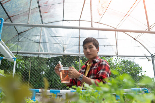 Farmers checking, inspecting quality of water in to check their hydroponic vegetable plots.