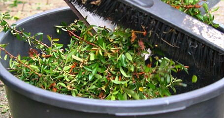 Prepared Compost Bin With Broom, Scene Showing Arranged Garden Refuse In Container With Cleaning Tools