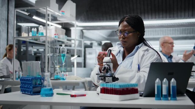 Laboratory histology technician evaluating pharmaceutical compound in petri dish, inputting data on laptop. African american woman in hospital lab inspecting cell culture growth, camera A