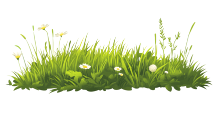 Vibrant green grass and white wildflowers, evoking a sense of serenity and natural beauty.