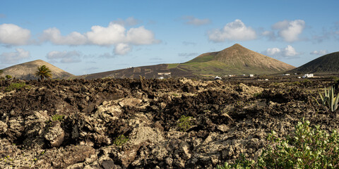 Lanzarote (2026-01)
