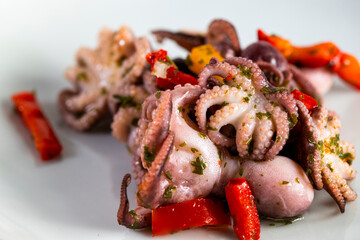 Baby octopus in plate © 26max