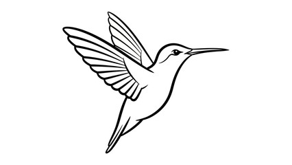 Obraz premium vector illustration of a hummingbird