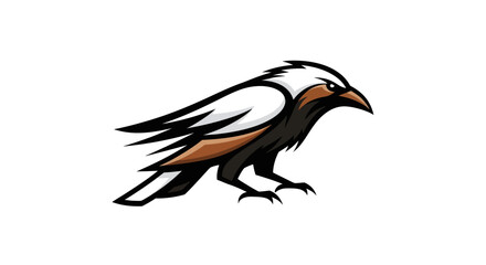 Obraz premium Adobe Illustrator Artwork