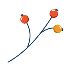 Berries. Winter plant. Winter branches and leaves. Winter floral elements. Holiday decoration. Vector illustration