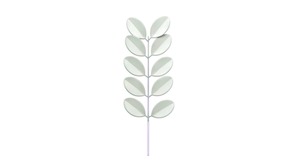 Stylized green branch with oval leaves on a white background
