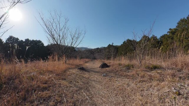 Static view looking down from a hill with leafless cherry trees