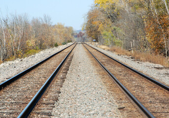 Fototapeta premium railway in the forest
