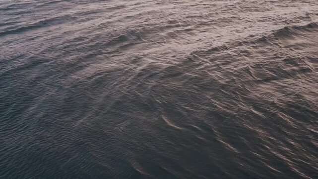冬の海