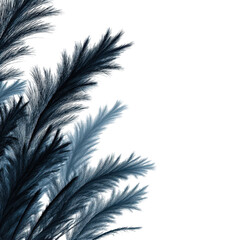 Fototapeta premium A single fluffy white plume rests as a delicate piece of art on a dark background, showcasing a graceful wing pattern that mimics a soft quill or nature's intricate design