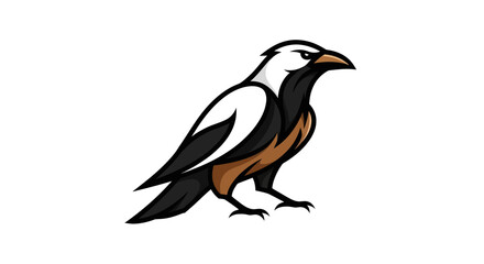 Fototapeta premium Adobe Illustrator Artwork