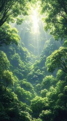 Sunlight Streams Through Lush Green Forest Canopy Creating a Serene and Mystical Atmosphere