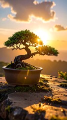Miniature bonsai tree silhouetted against a golden sunset, sitting atop a mossy stone surface