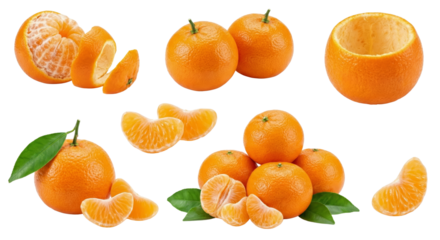 Fresh Orange Mandarin Orange Fruit Collection: Whole, Peeled, Sliced, and Segments