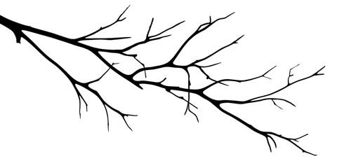 Vector drawing of a dry twig isolated on a white background, branch outline without leaves