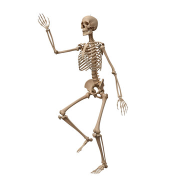 Skeleton holding whisk in a dynamic pose