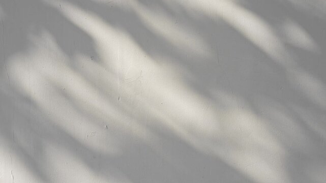 Shadow of tree branch sway in the wind on white wall background