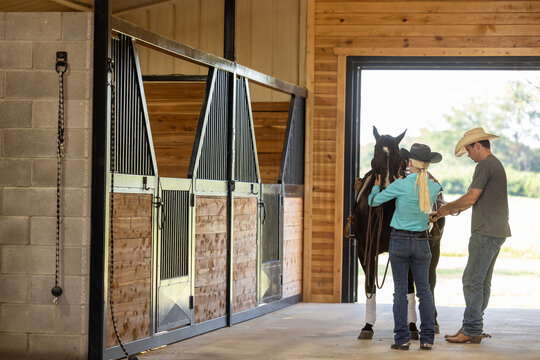 cowboy cowgirl saddling horse in barn stable aisle with western saddle