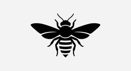 Obraz premium Black and white vector illustration of a bee against a white background