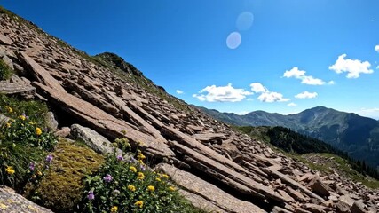 Scenic view of a mountain slope covered in flat rocks, vibrant wildflowers, and distant mountains under a blue sky