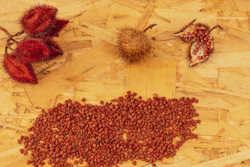 Annatto tree bixa orellana seeds 