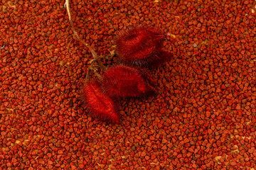 Red annatto seeds powder - Bixa orellana
